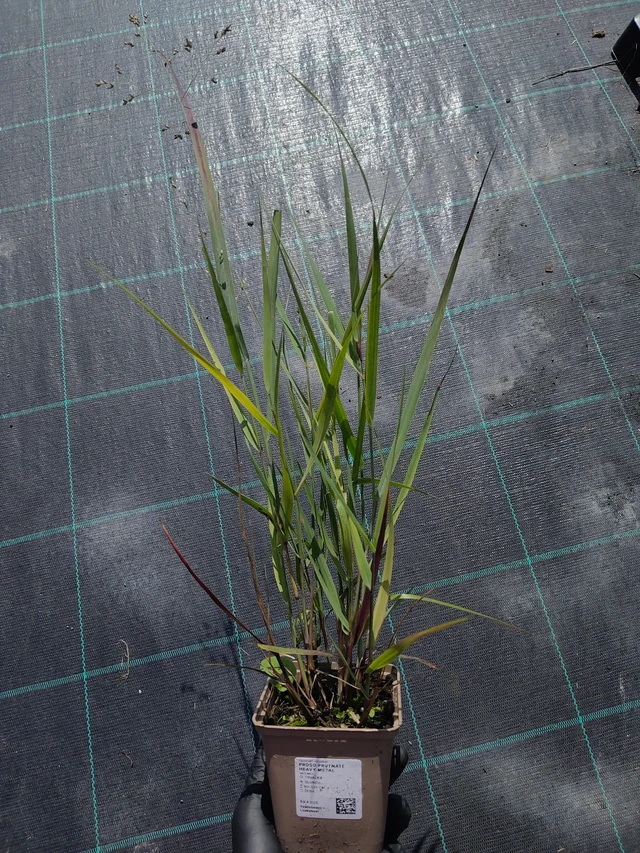 Hirssi Heavy Metal - 11. 9. 2025