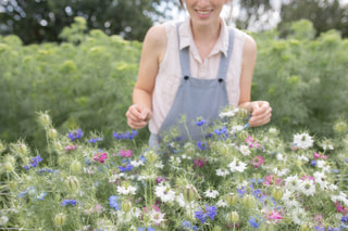 Love-in-a-Mist Megamix , Loukykvět