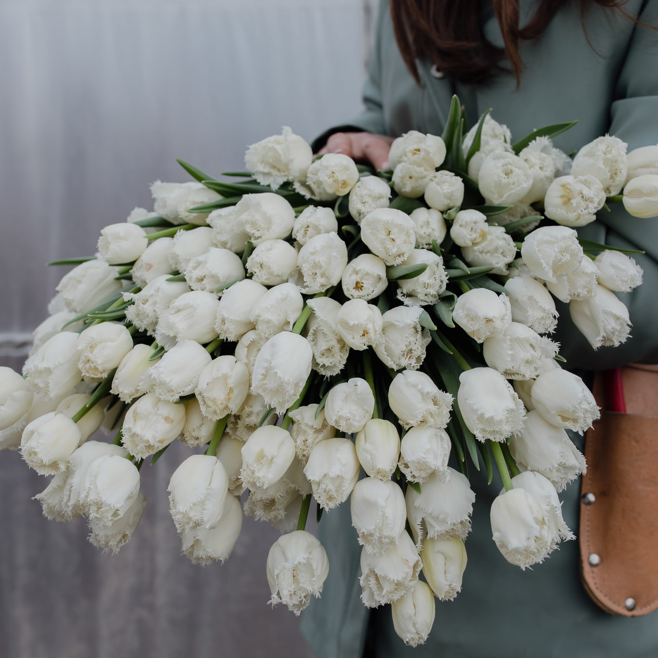 Tulip Honeymoon, Loukykvět