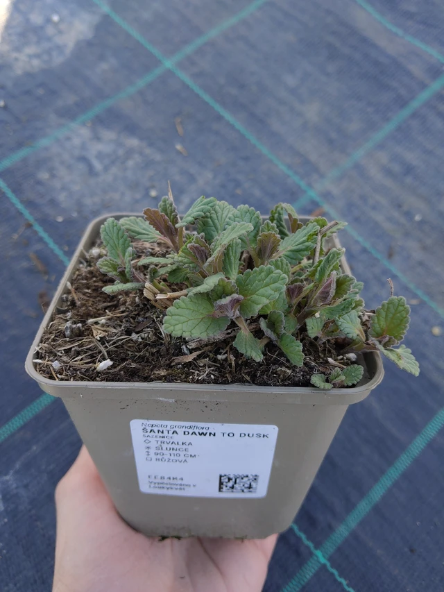 Šanta Dawn to Dusk - 27. 3. 2026