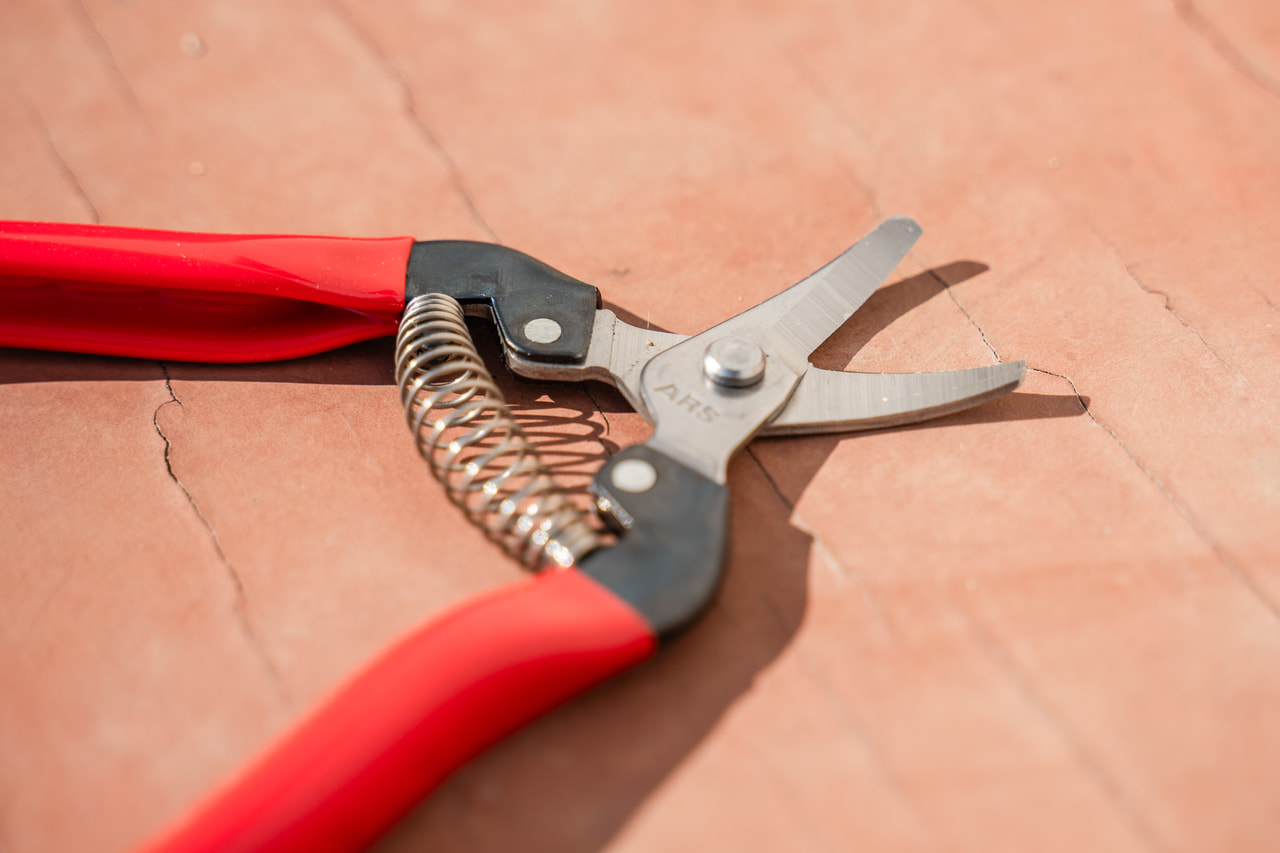 Floristické nůžky na sklizeň, Loukykvět
