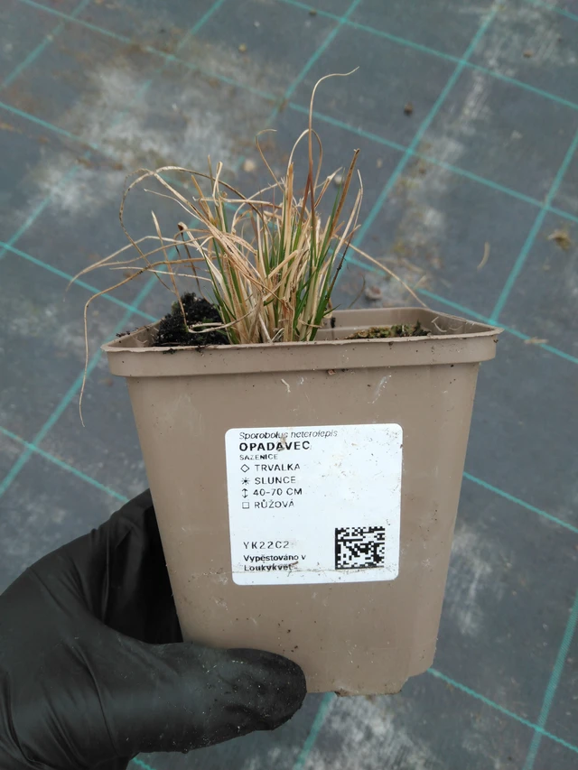 Opadavec - 1. 4. 2026