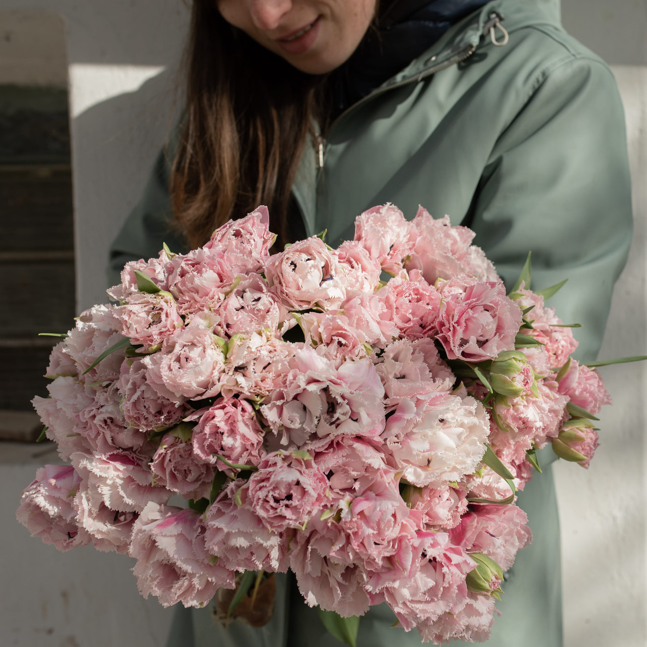 Tulipán Sugar Crystal, Loukykvět