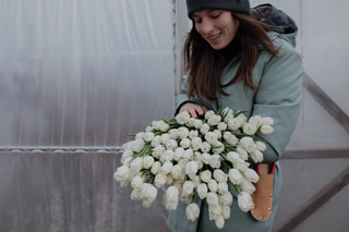 Tulipán Honeymoon, Loukykvět