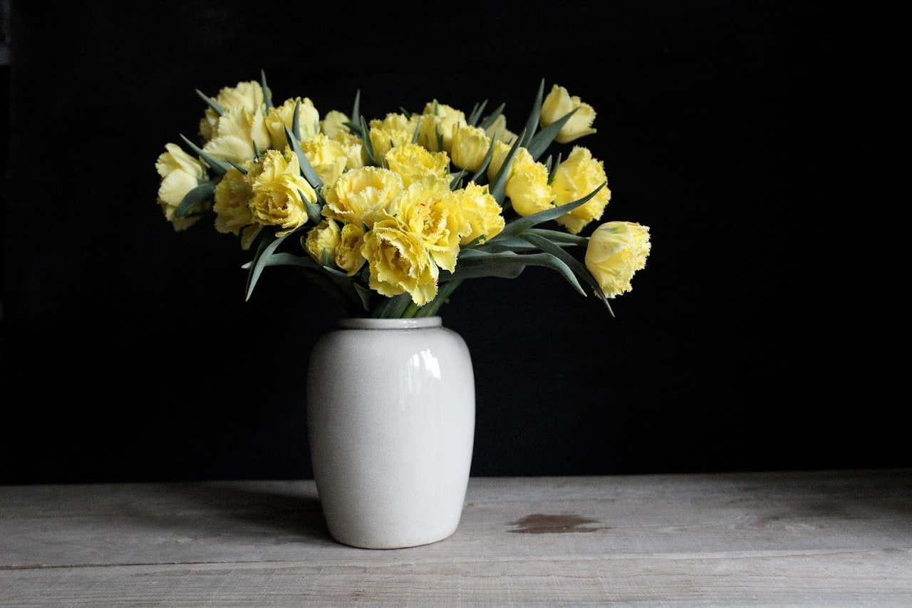 Tulipán Vaya con Dios, Loukykvět