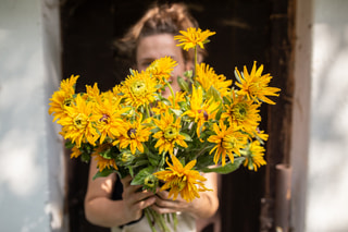 Rudbékie Double Golden Daisies, Loukykvět