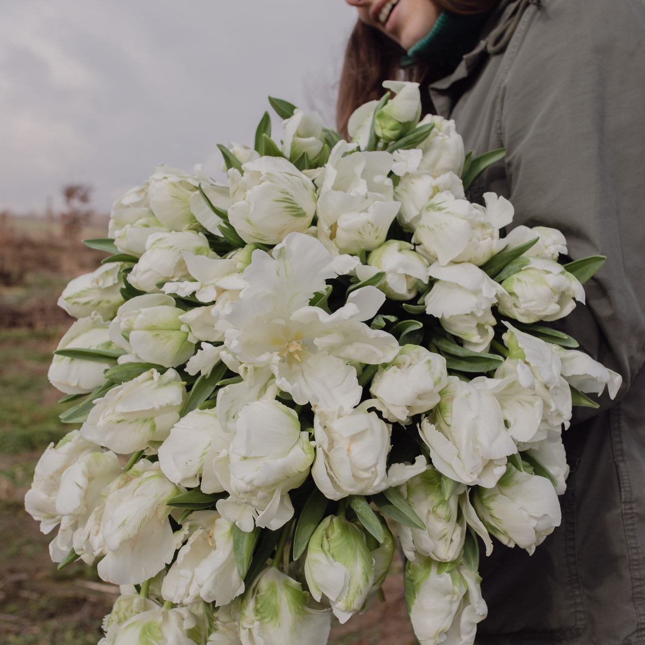 Tulipán Super Parrot, Loukykvět