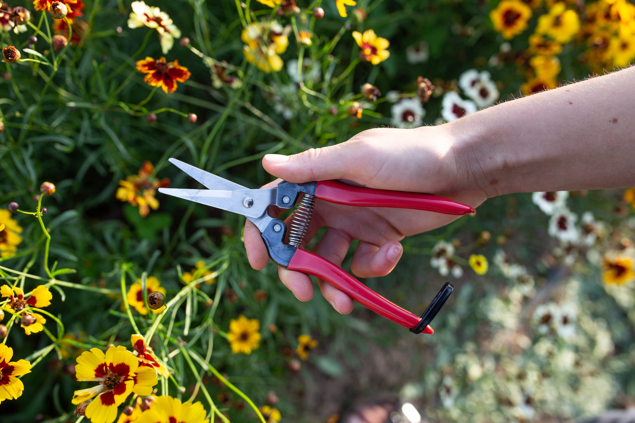 Celokovové floristické nůžky, Loukykvět