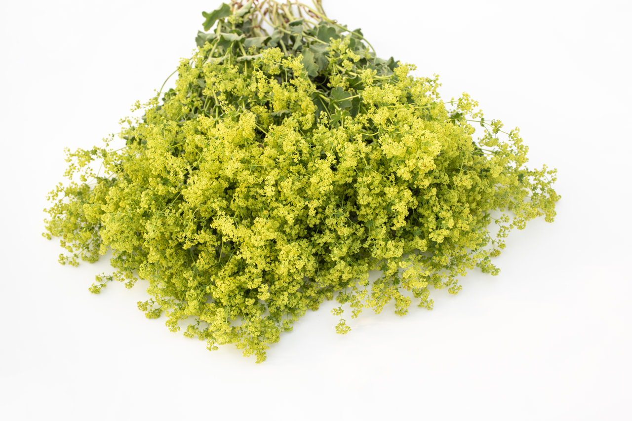 Kontryhel Irish Silk, Loukykvět