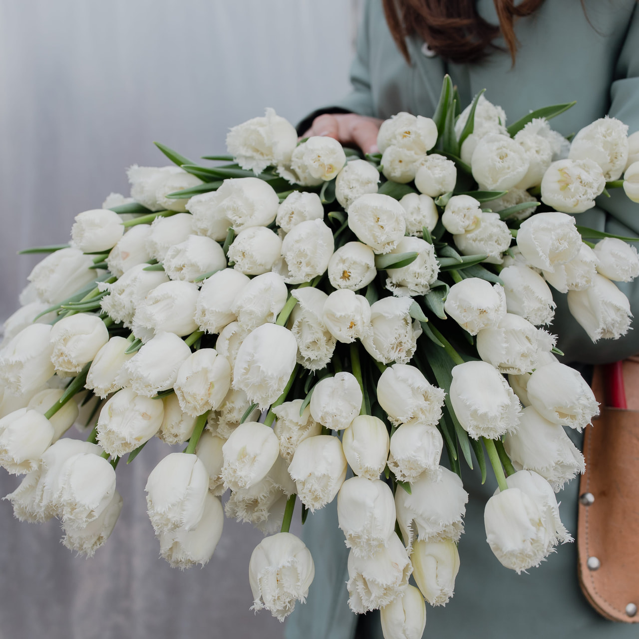 Tulip Honeymoon, Loukykvět