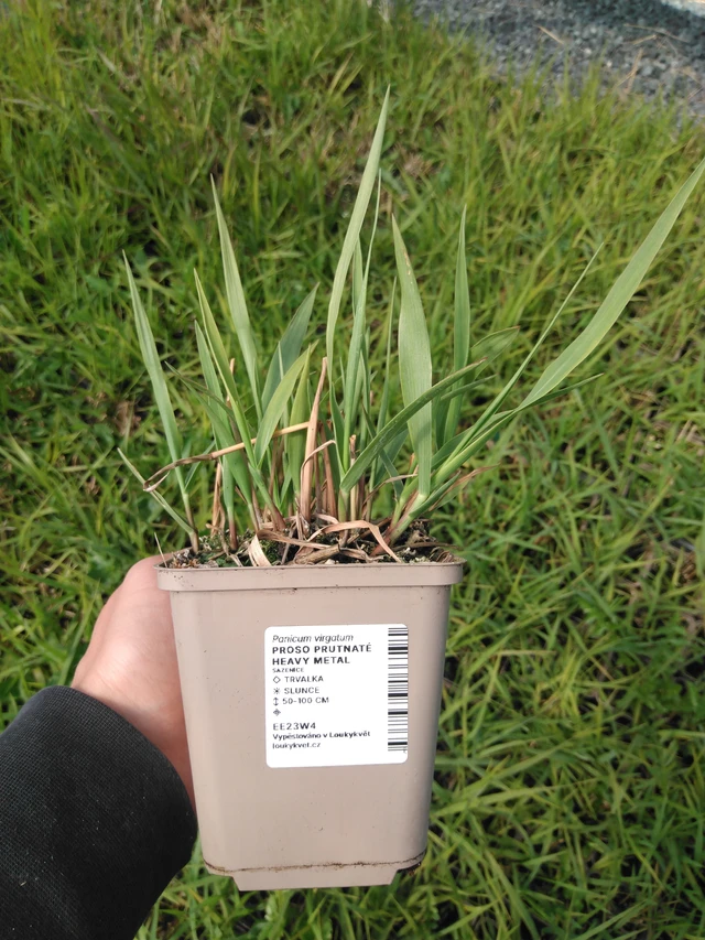 Hirssi Heavy Metal - 13. 5. 2025