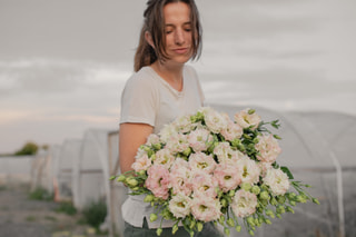 Eustoma Celeb 2 Pink Diamond, Loukykvět