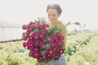 Astra Matsumoto Rose, Loukykvět