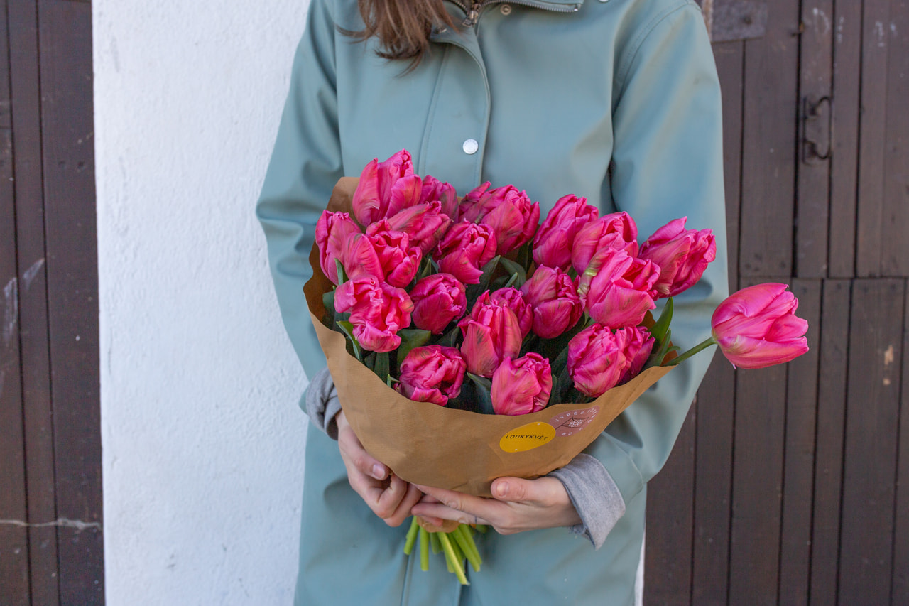 Tulip Marvel Parrot, Loukykvět