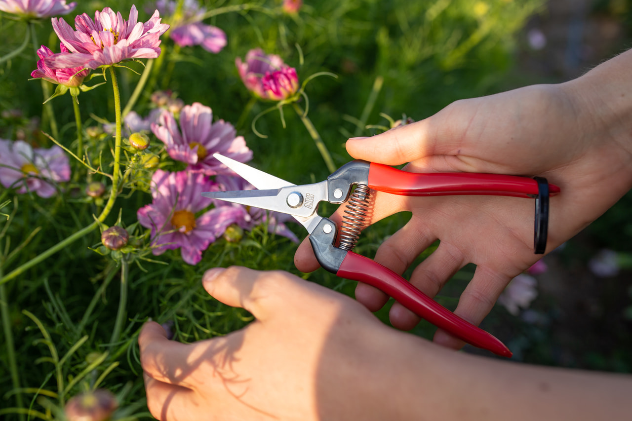 Celokovové floristické nůžky, Loukykvět