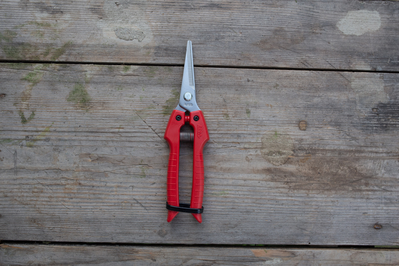 Floristické nůžky, Loukykvět