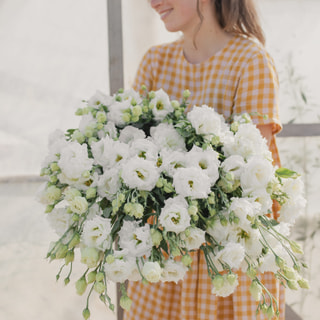 Eustoma Celeb 2 White, Loukykvět